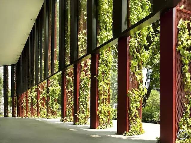 新加坡的生態(tài)建筑專業(yè)戶，又建了一個長滿綠植的酒店第15張圖片