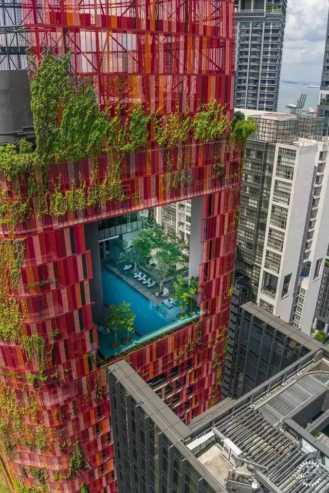 新加坡的生態(tài)建筑專業(yè)戶，又建了一個長滿綠植的酒店第11張圖片