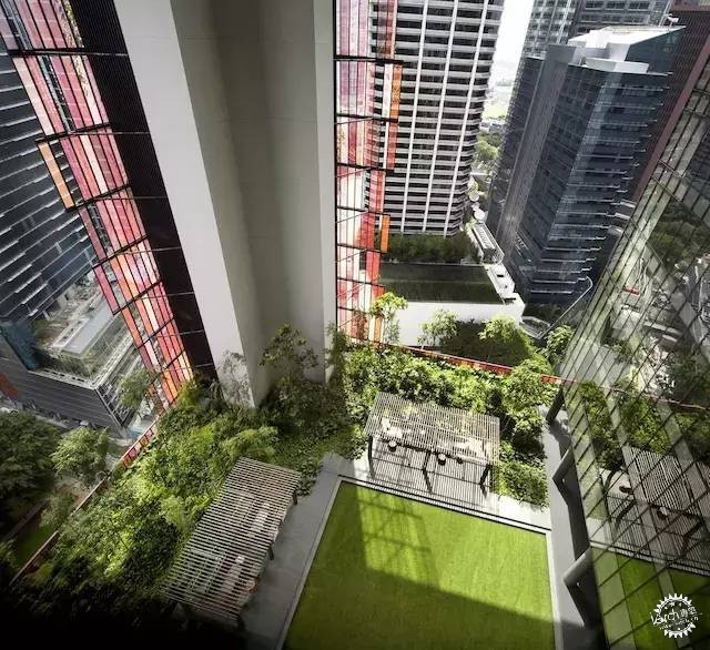 新加坡的生態(tài)建筑專業(yè)戶，又建了一個長滿綠植的酒店第13張圖片