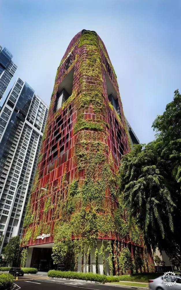 新加坡的生態(tài)建筑專業(yè)戶，又建了一個長滿綠植的酒店第7張圖片